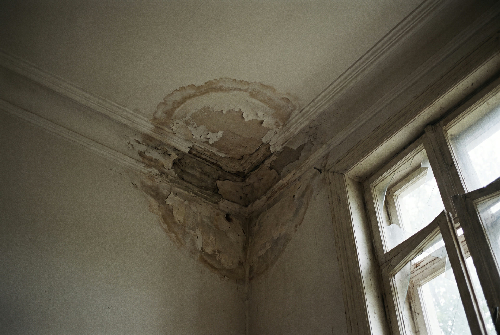 Tache d'infiltration au plafond sous une terrasse, illustration